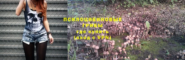 спайс Абинск