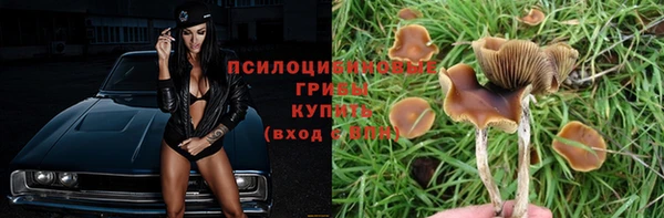 тгк Абдулино
