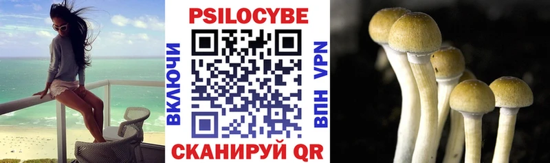 мега   где найти наркотики  Ессентукская  Галлюциногенные грибы мицелий 