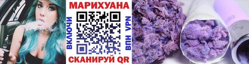 где купить наркоту  Ессентукская  Бошки марихуана ГИДРОПОН 